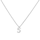COLLAR NÚMERO PLATA