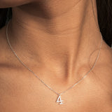 COLLAR NÚMERO PLATA