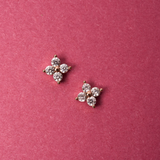 AROS SAM BAÑADOS EN ORO ROSADO