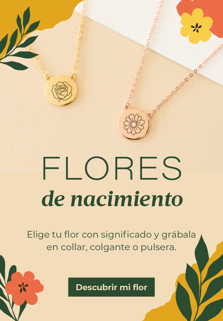 Imagen de diapositiva