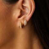 AROS CITRUS BAÑADOS EN ORO