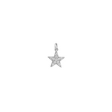 COLGANTE ESTRELLA CIRCONES PLATA