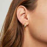 ARGOLLAS POLAR ROSE BAÑADAS EN ORO