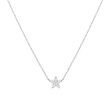 COLLAR FLOR PLATA